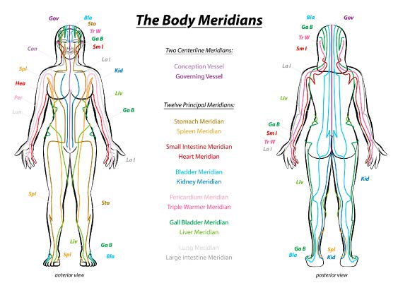 the-body-meridians
